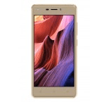 Walton Primo GM2+