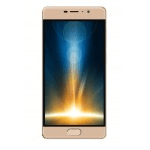 Walton Primo RM3s