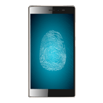 Micromax Canvas 6