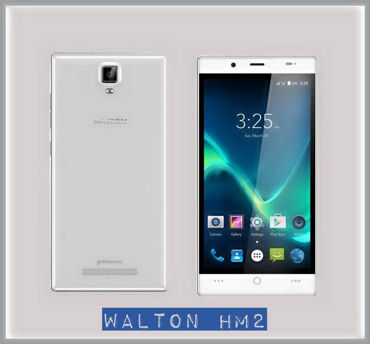 Walton HM2