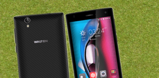 Walton Primo GH4