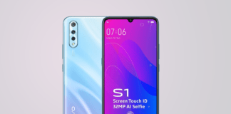 Vivo S1